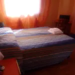 Szálloda Pineta