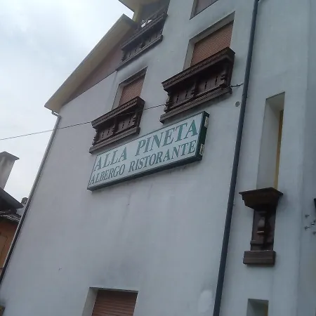 Pineta 2* Villa Santina