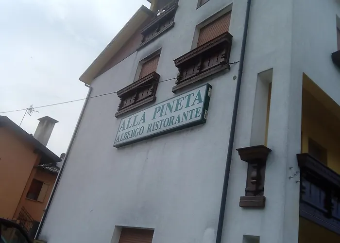 Pineta 2* Villa Santina