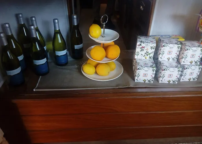 Pineta Villa Santina